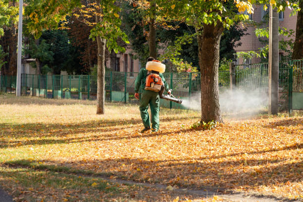  El Segundo, CA Pest Control Pros